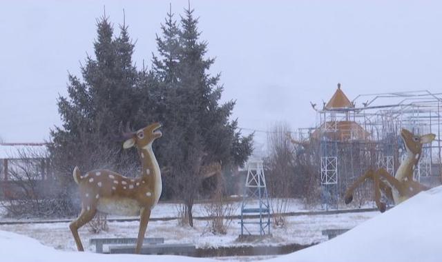 林口大雪实时更新，最新天气状况报告